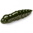 Pupa 1.5
